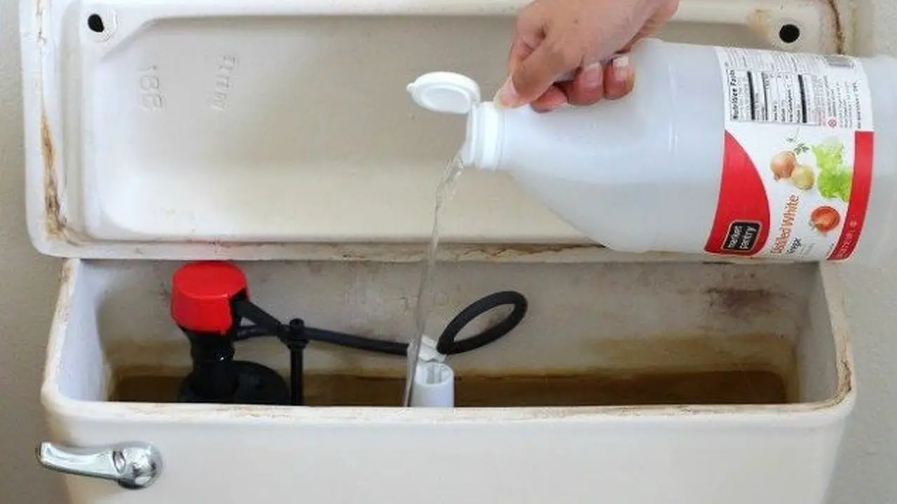 Use vinegar in toilet tank