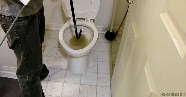 Toilet Auger Review