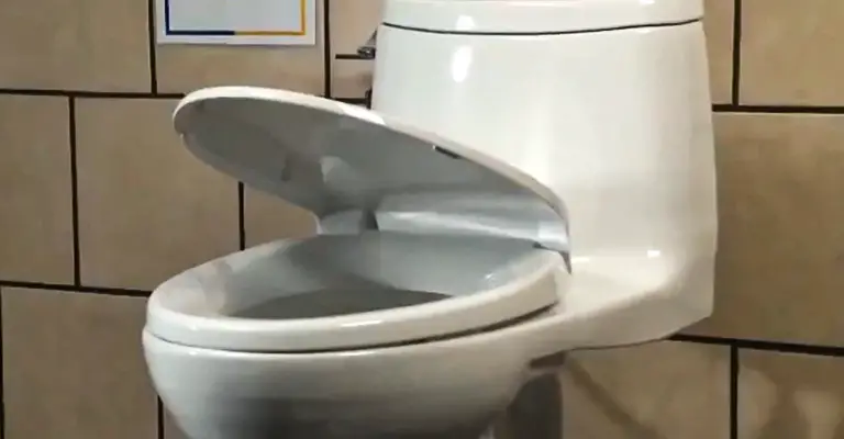 Best Elongated Toilets