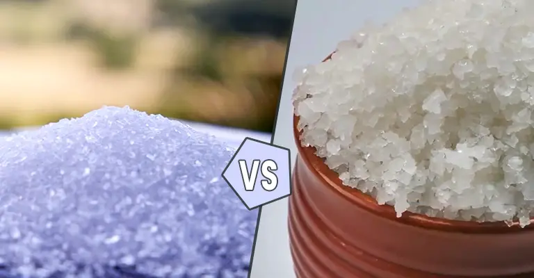 Epsom Salt Bath vs Table Salt Bath