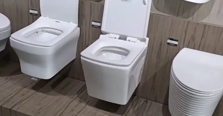 Some Features You Might Find in Toilet Seats