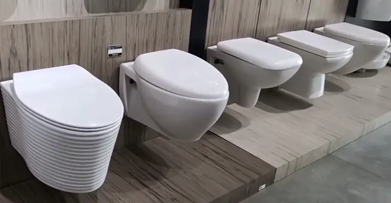 Types of Toilet Seats You will Find