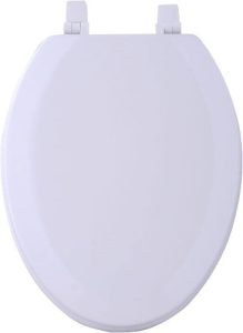 Achim Home Furnishings White TOWDELWH04 19-Inch Fantasia Elongated Toilet Seat, Wood