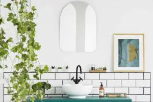 Introducing Plants in your Bathroom