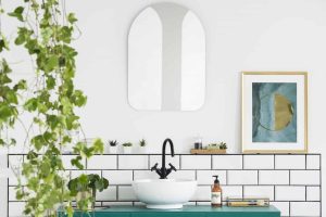 Introducing Plants in your Bathroom