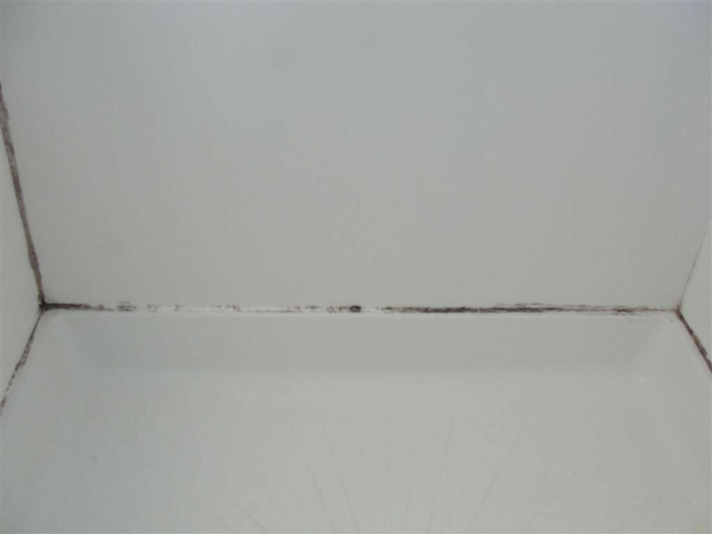 How To Remove Mold From Shower Caulking Home Gear Kit