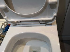 A Toilet Seat With Hidden Fixings